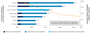 There was an average 60% decline in population of vertebrate species assessed from 1970 to 2014.